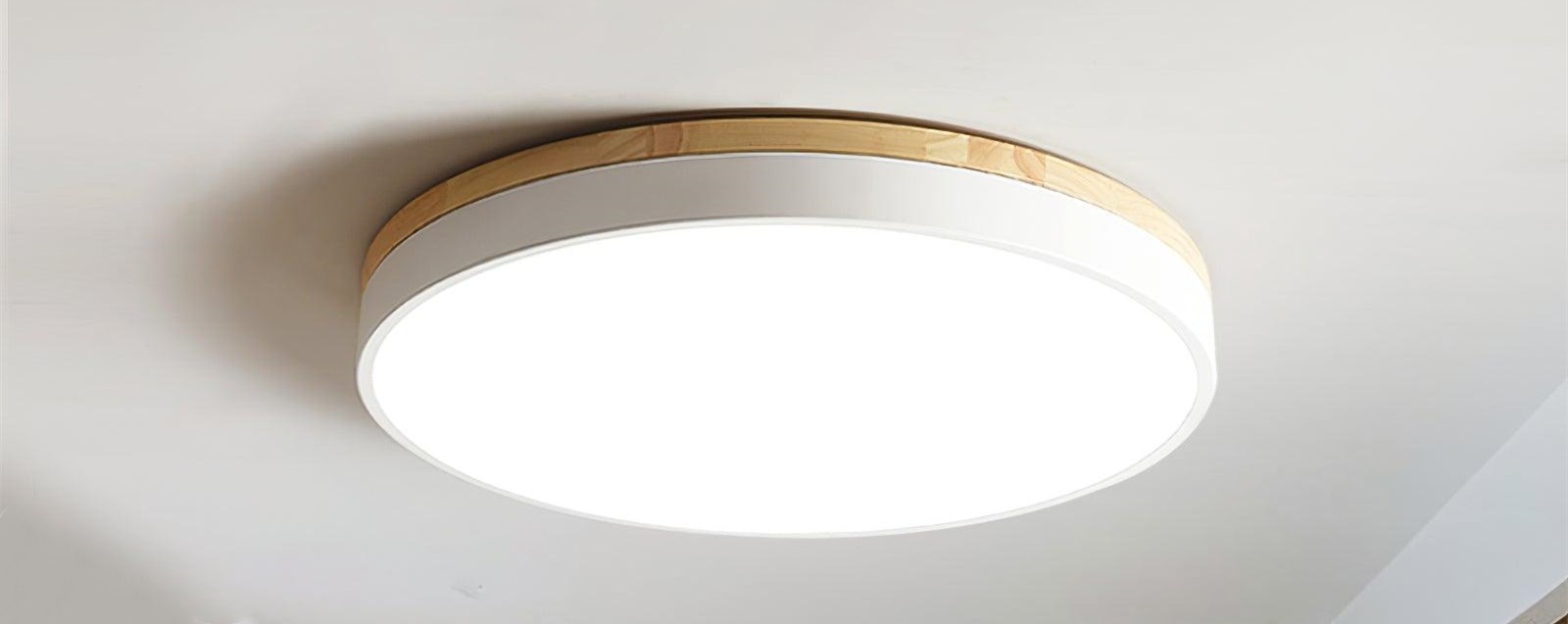 collection-banner-image