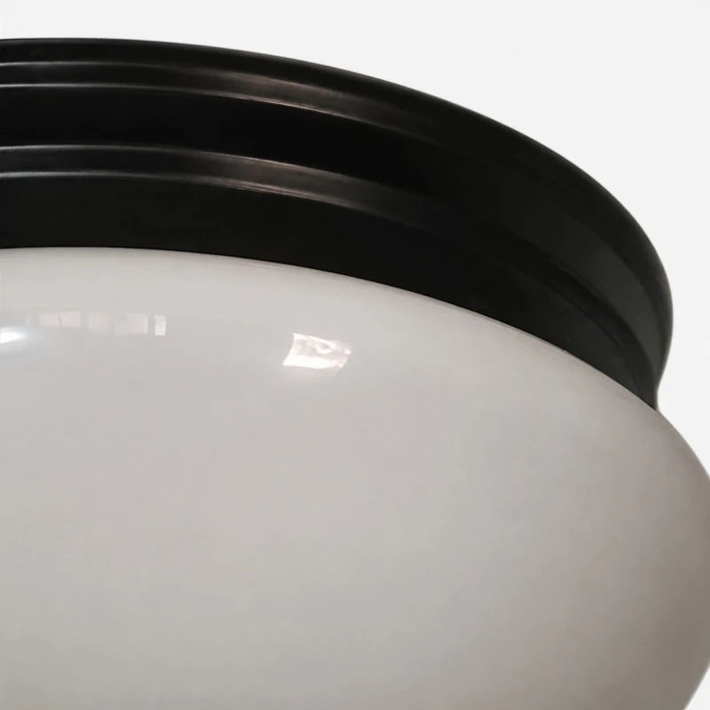 Close detail of opal glass shade and black canopy rim