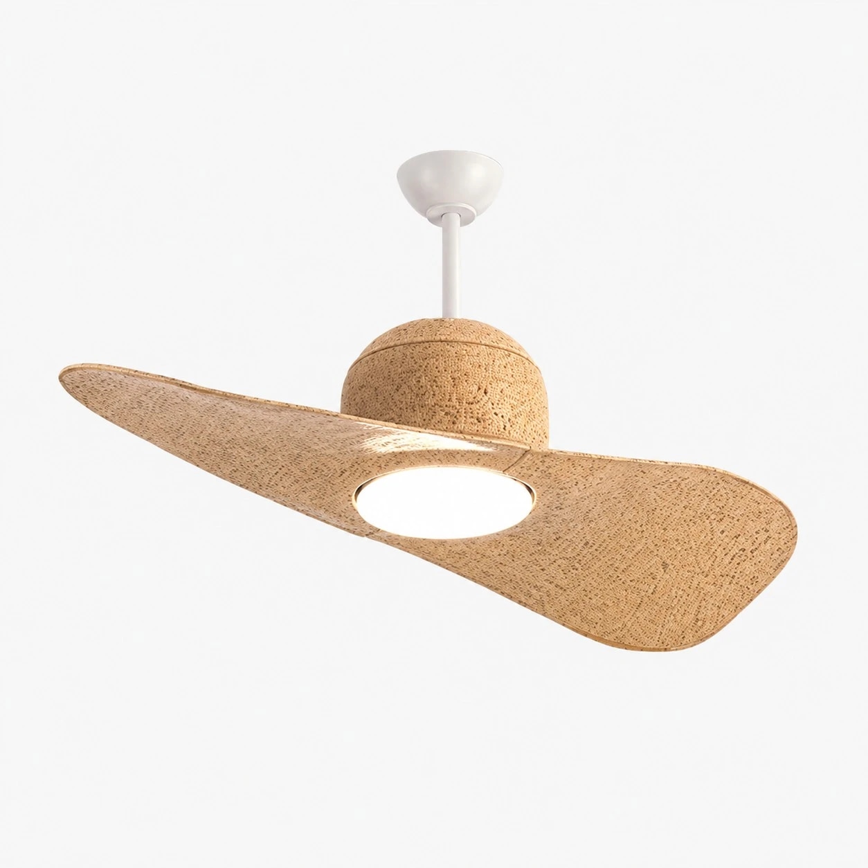 Designer Hat Two-Blade Ceiling Fan Light