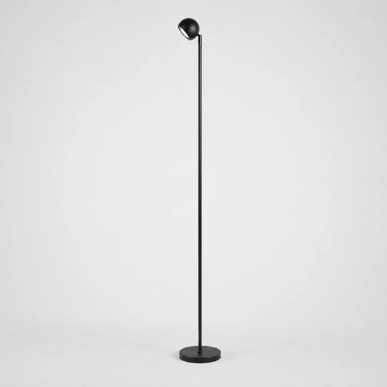 Minimalist Black Smart Remote Floor Lamp